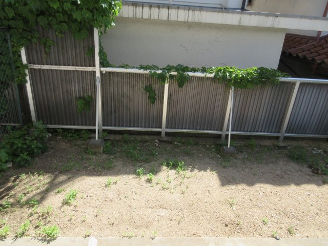 明石ロイヤルマンションの庭
