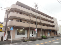 コシンヤⅢの画像