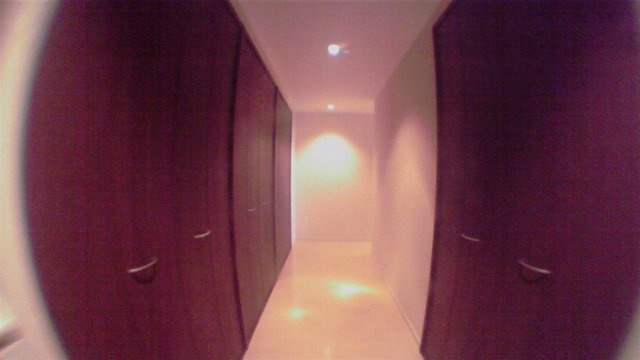 中央区入船２丁目の賃貸マンションのその他|廊下