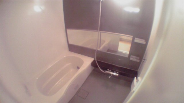 中央区入船２丁目の賃貸マンションの浴室