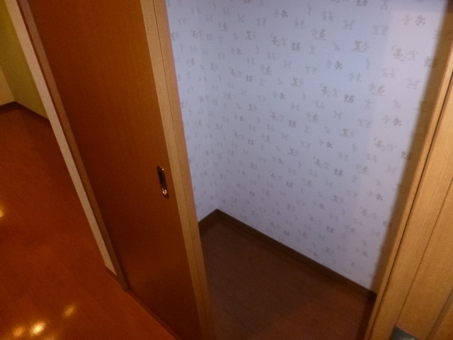 ルミノッソⅡのその他