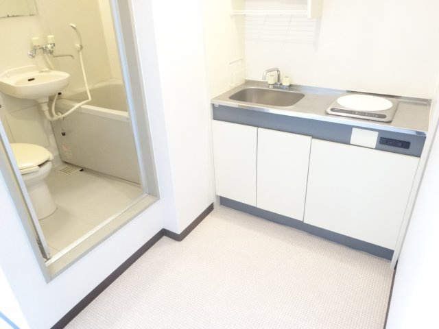 パールハイムの洗面所