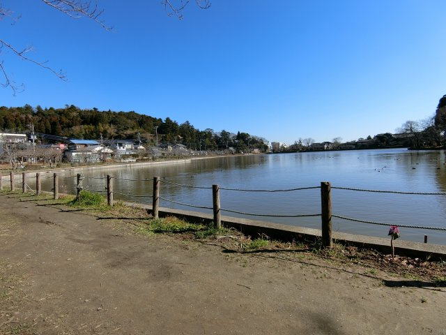 布施貸家Ａ棟のその他