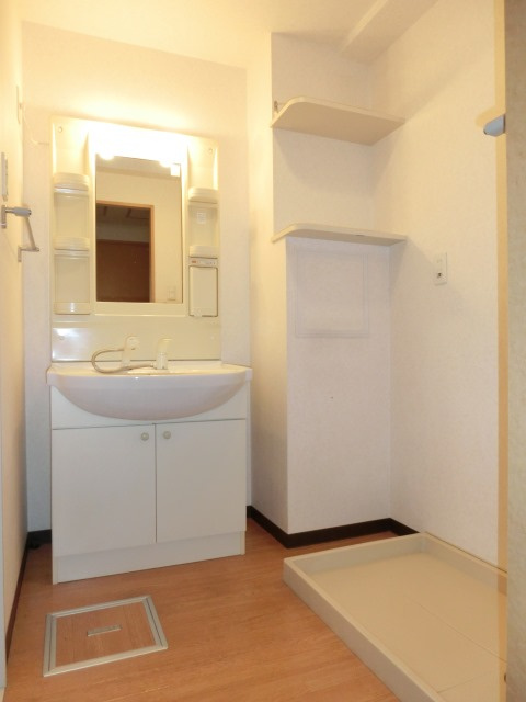 大阪市淀川区新高１丁目の賃貸マンションの洗面所