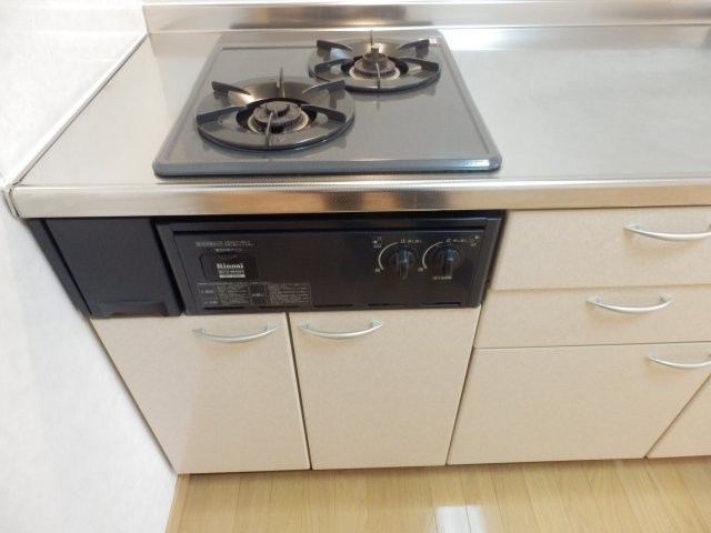 アービルカーサBのキッチン|キッチンです