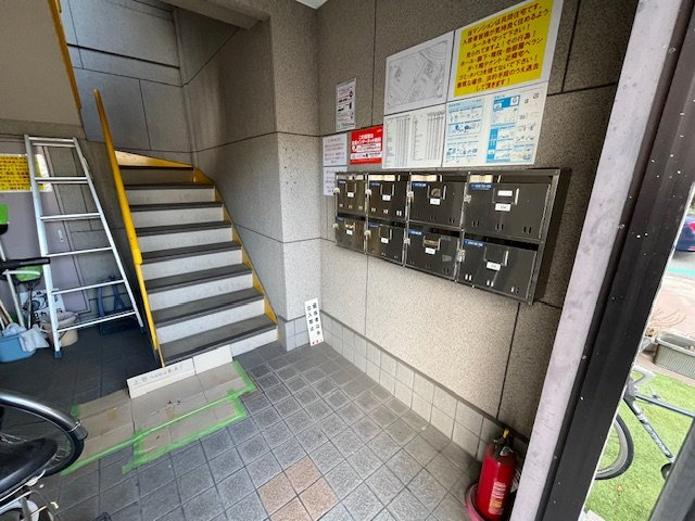 COCOMO MORIMOTOのその他