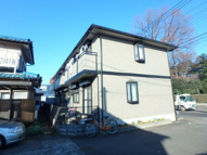 ロワゾブルーナミキの画像