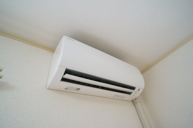 デイジーの設備