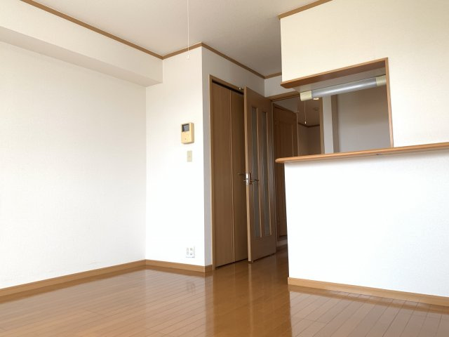 PlumeriaB棟の居間・リビング