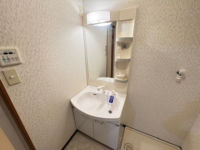 フジパレストゥインクルの独立洗面台