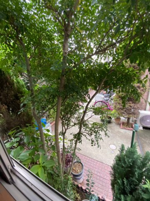 【展望】 | ビスタテラス