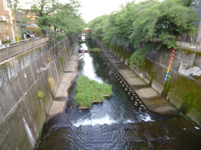 【周辺】 | 古内ビル | 近所を流れる石神井川です。