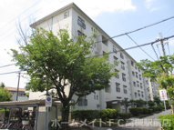 富田第二住宅６１棟の画像