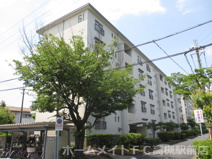 富田第二住宅６１棟の画像