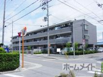 カトルセゾン中甚の画像