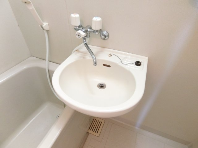 カーサ寺池の洗面所