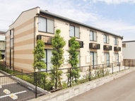 ハピネスの画像