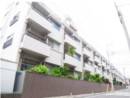 四谷軒第１経堂シティコーポの画像