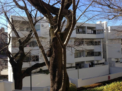 【外観】 | 桜台ビレジ　３ブロック
