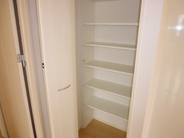 フォーチューン真壁Ｄの収納|パントリー