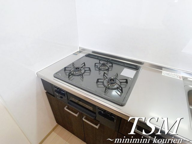 ヴェルドミール出口のキッチン