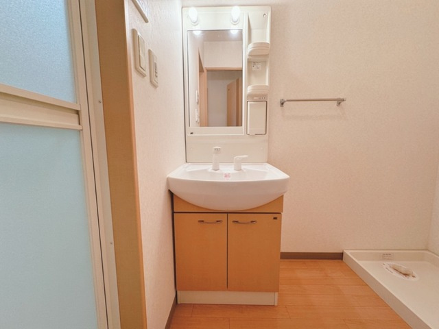 メゾンガイアの洗面所