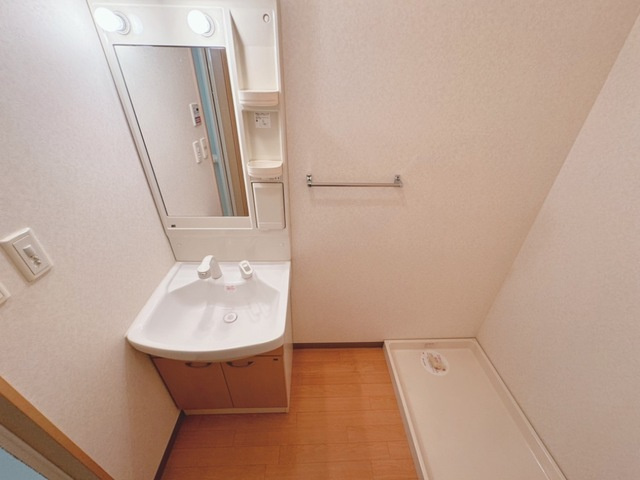 メゾンガイアの洗面所