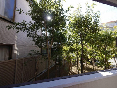 【展望】 | エクレール藤沢弐番館