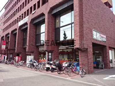 【周辺】 | サントゥールくいな橋