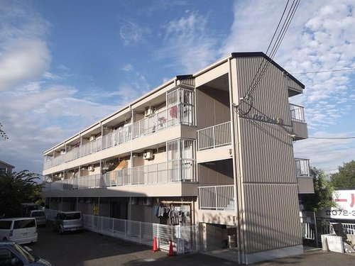 バイオレット輝の外観