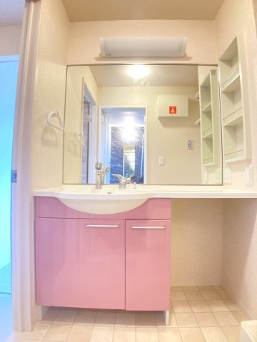 メゾンKの洗面所