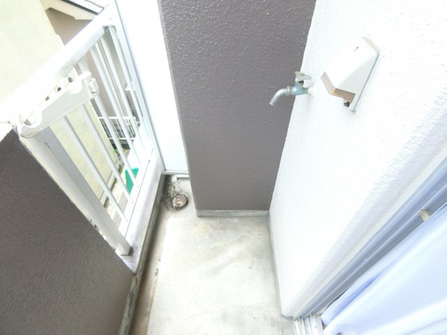 中西ハイツⅡの設備|同物件別部屋