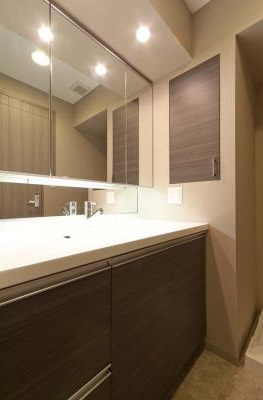 【独立洗面台】 | リビオ日本橋人形町 | リビオ日本橋人形町 人形町周辺の高級賃貸は人形町不動産で！