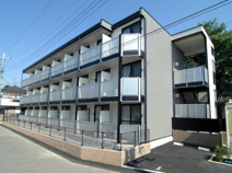 グリーンシャルマンの画像