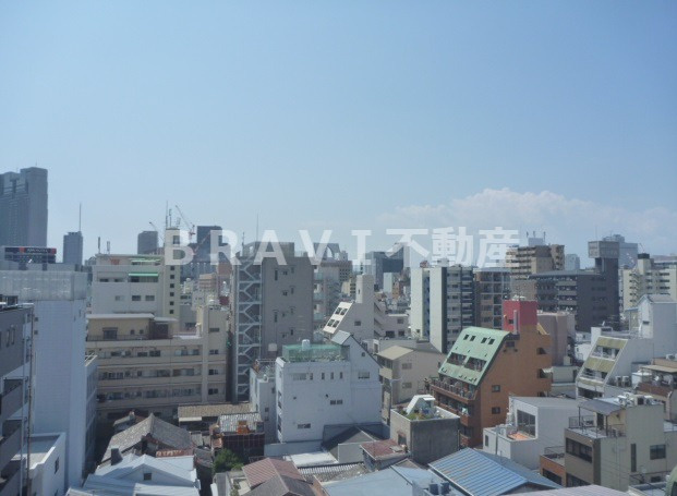 レオンコンフォート難波ミラージュ　BRAVI不動産の展望|【レオンコンフォート難波ミラージュ】眺望