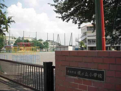 【周辺】 | ドルフ青葉台1号棟 | 榎が丘小学校