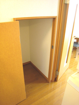 【展望】 | RITZ-Ⅰ | 廊下に収納有り（1階のみ）