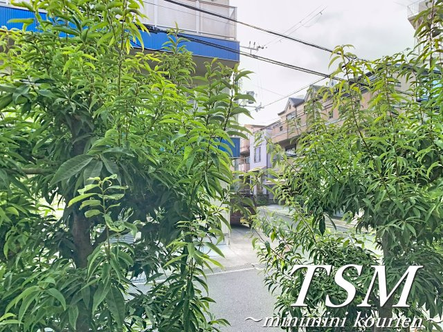 アバンザール香里園の展望