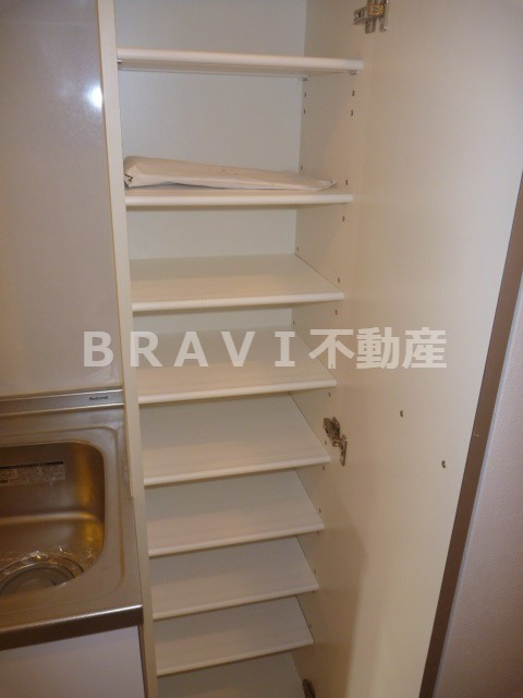CITY SPIRE心斎橋EAST（シティスパイアシンサイバシイースト）　BRAVI不動産の収納|【CITY SPIRE心斎橋EAST】たっぷりとした収納スペースです