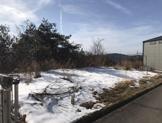 【前面道路含む現地写真】