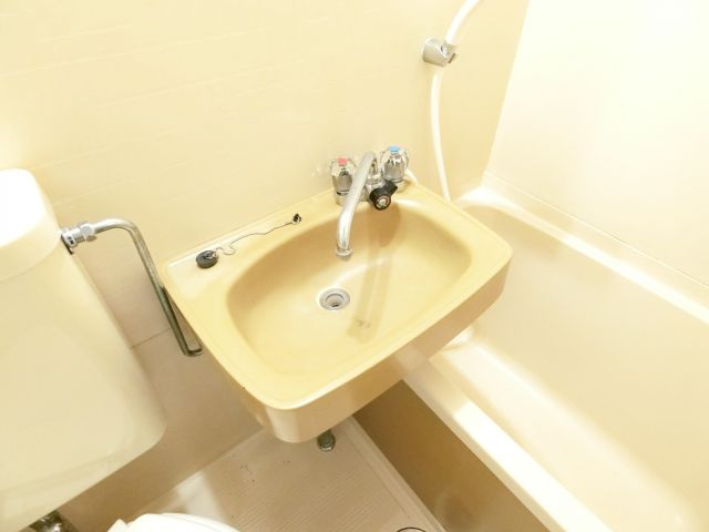 エレガンス北野田の洗面所