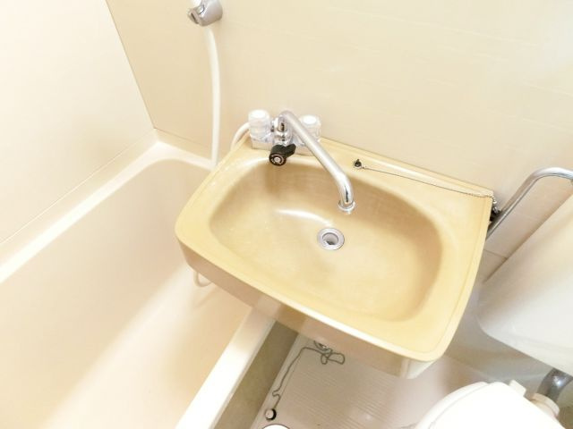 フェリース大美野の洗面所