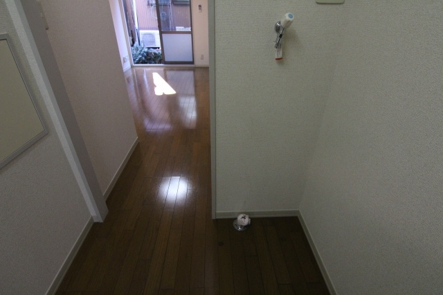コモドＭのその他