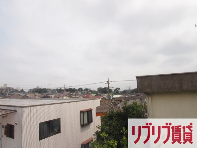 やまぼうしの展望