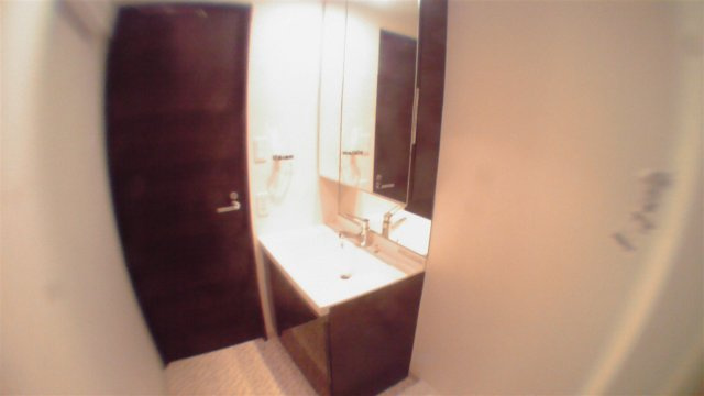 台東区花川戸１丁目の賃貸マンションのその他|洗面