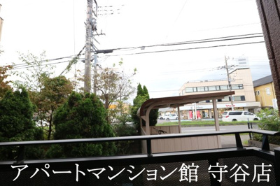 【展望】 | プライマリー