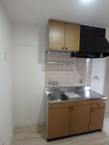 ネクストⅢのキッチン|ネクストⅢ（岡山市北区平野の賃貸マンション）