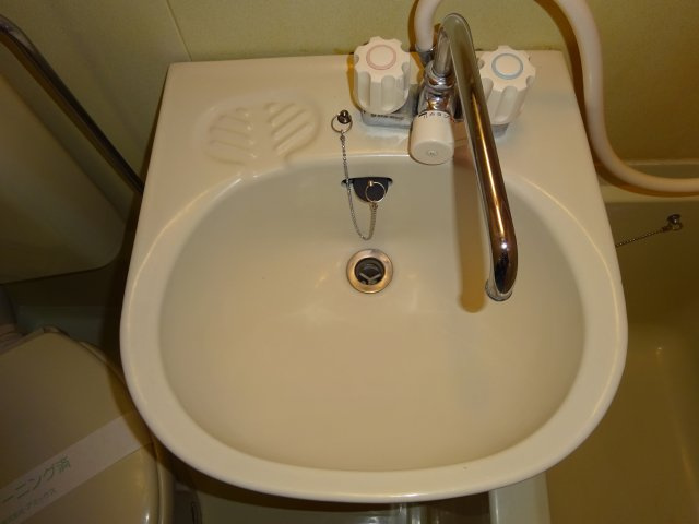 アネックスIAの洗面所