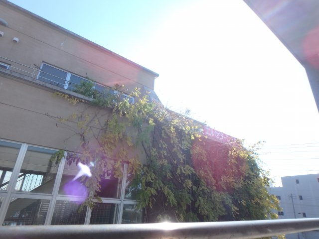 Basilの展望