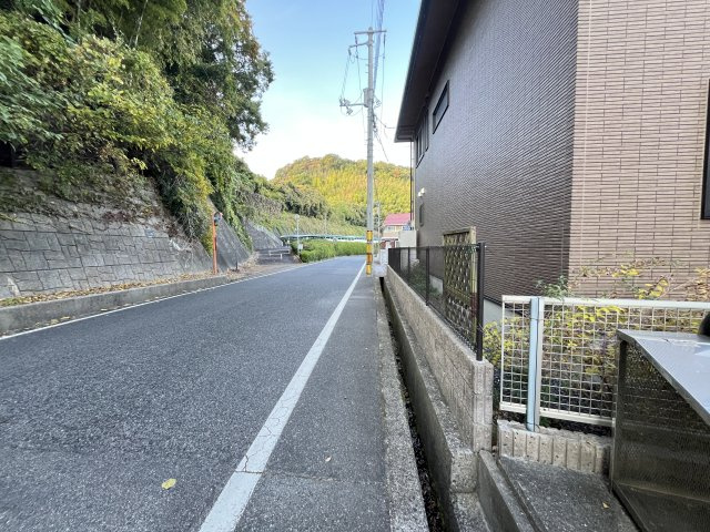 タートルテイルの周辺